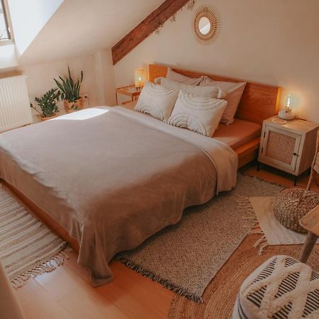 Cozy Apartment In The Heart Of The Historic City براتسيلافا المظهر الخارجي الصورة